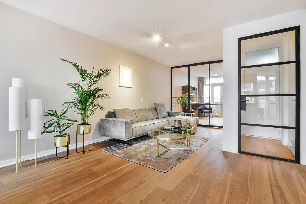 Moderni dnevni boravak sa novo postavljenim kvalitetnim laminatom